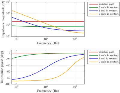 Electrical Modelling of In-Vivo Impedance Spectroscopy of Nicotiana tabacum Plants